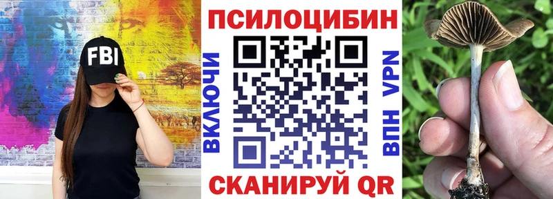 Купить  Абинск  Галлюциногенные грибы прущие грибы 